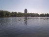 Hyde Park - lago