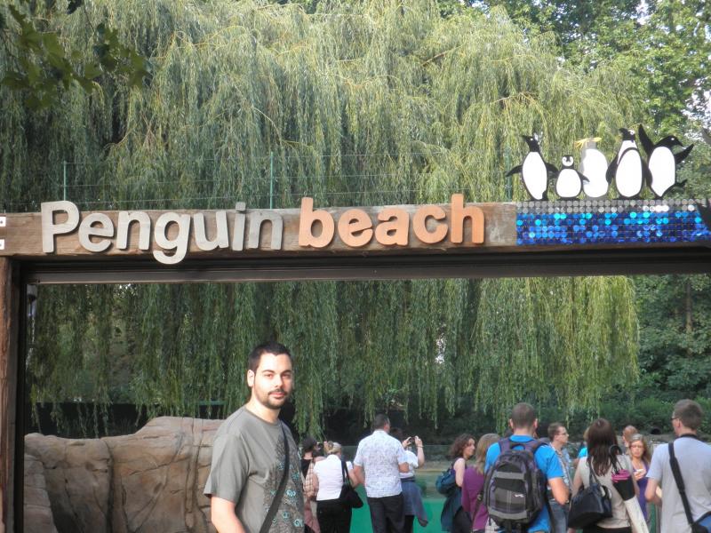 Penguins - London Zoo