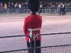 Trooping the colour 2011