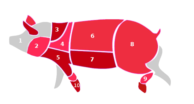 Piezas de la carne de cerdo en Reino Unido